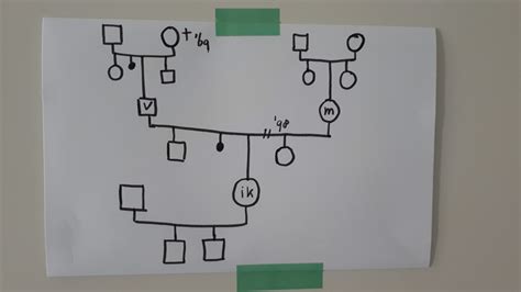 hoe maak je een genogram|Hoe u een genogram maakt voor uitgebreide visuele。